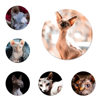 Canadian fără Păr Beerus pisica sfinx Broșă Pin Cosplay Insigna Accesorii Pentru Haine Rucsac Decor Cadou 58mm