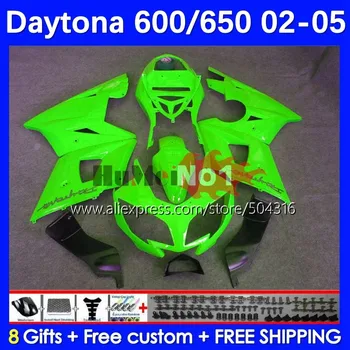 Corpul verde stoc Kit Pentru Daytona600 Daytona 650 600 Daytona650 102MC.164 Daytona 600 650 02 03 04 05 2002 2003 2004 2005 Carenaj