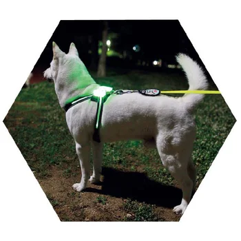 simon guler de câine cc accessoriesWholesale Nailon de Siguranță Câine de Companie Ham Centura Strălucire luminoasă a LED-Lesa de Prindere a dus cainele ham